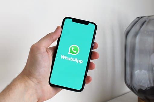 Delete a Contact from WhatsApp