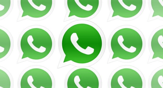 How To Backup WhatsApp From Android To iPhone