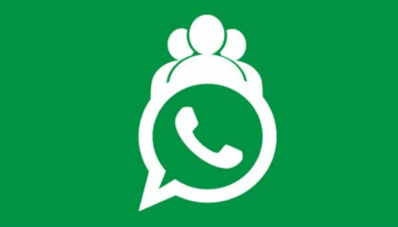 WhatsApp Password Reset