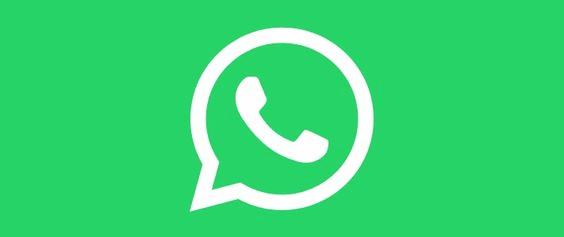 How to Backup WhatsApp
